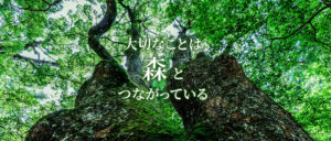 大切なことは森とつながっている